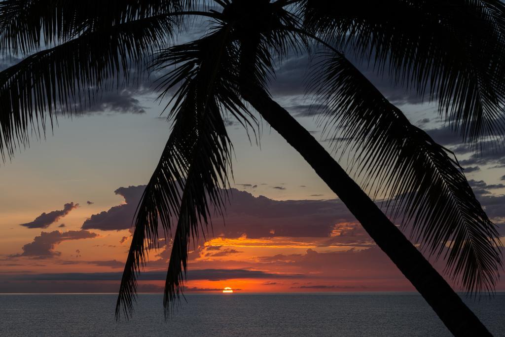 Thala Beach Nature Reserve Port Douglas Dış mekan fotoğraf
