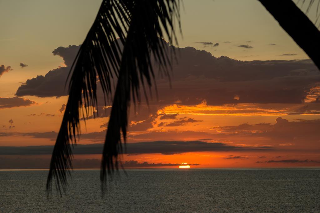 Thala Beach Nature Reserve Port Douglas Dış mekan fotoğraf