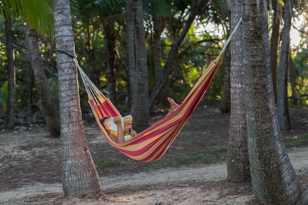 Thala Beach Nature Reserve Port Douglas Dış mekan fotoğraf