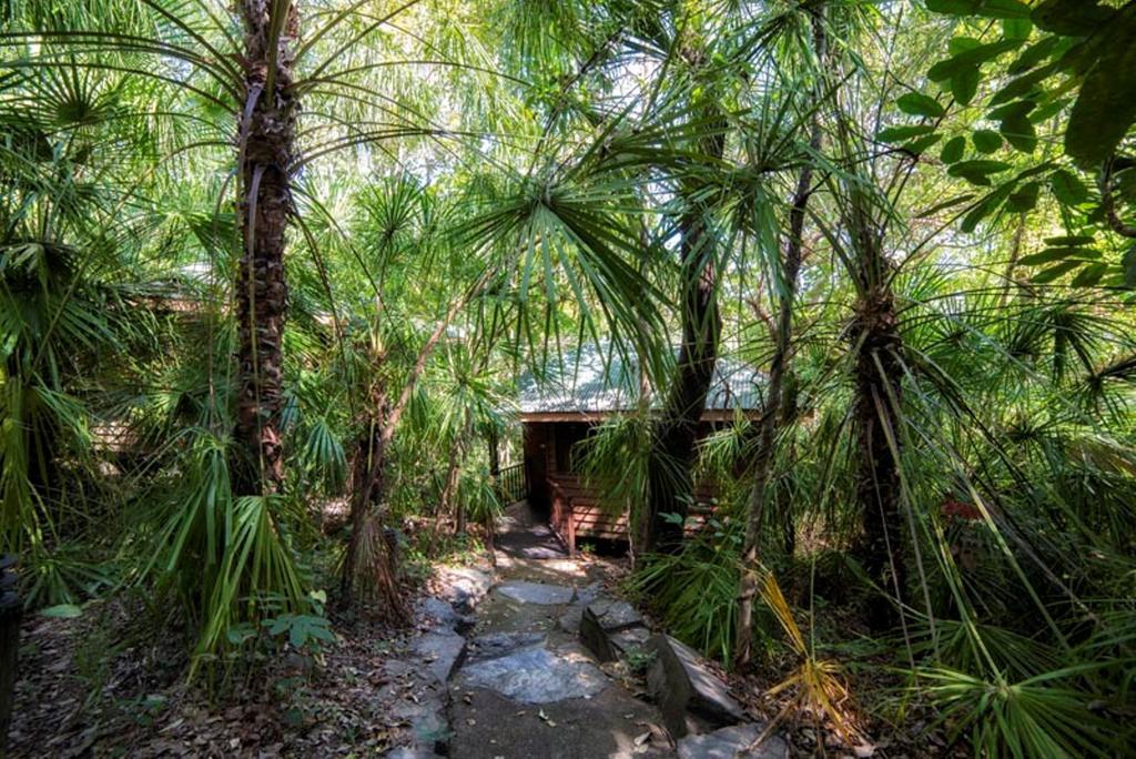 Thala Beach Nature Reserve Port Douglas Dış mekan fotoğraf