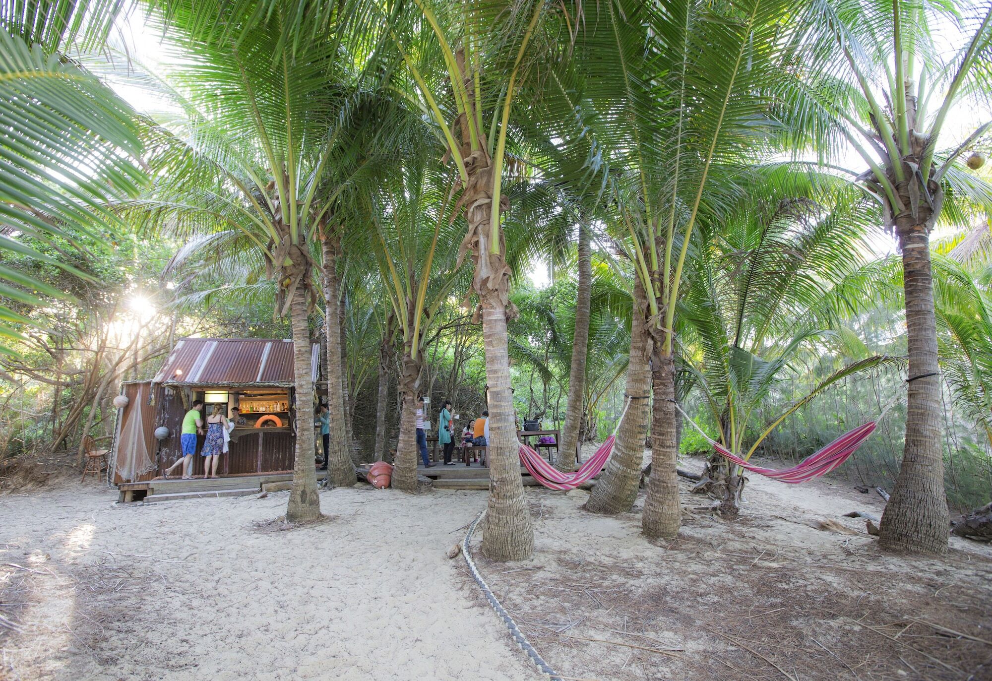 Thala Beach Nature Reserve Port Douglas Dış mekan fotoğraf