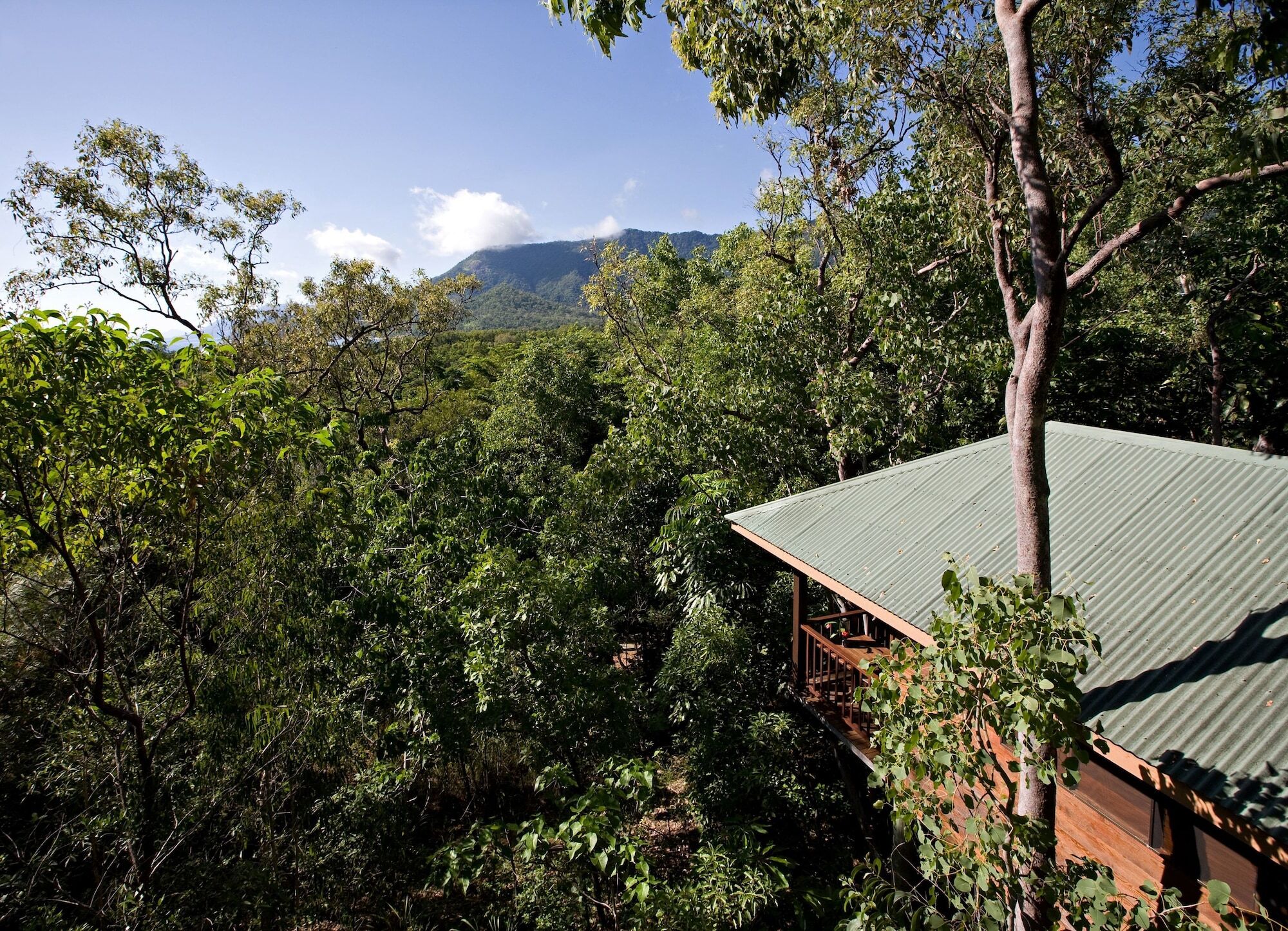 Thala Beach Nature Reserve Port Douglas Dış mekan fotoğraf